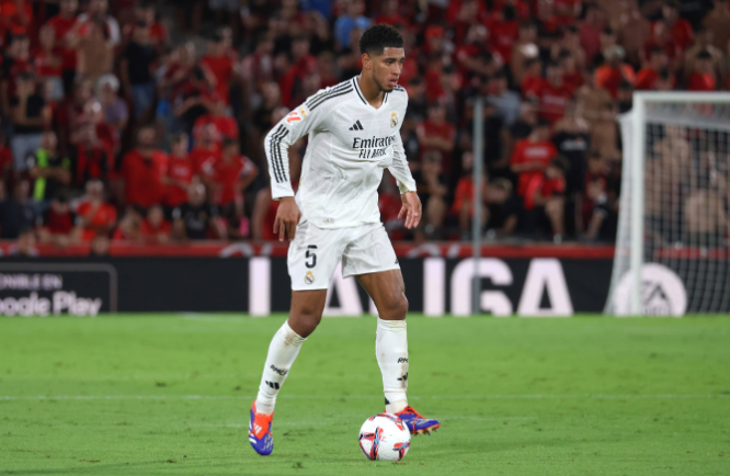 似乎引发了 似乎引发了