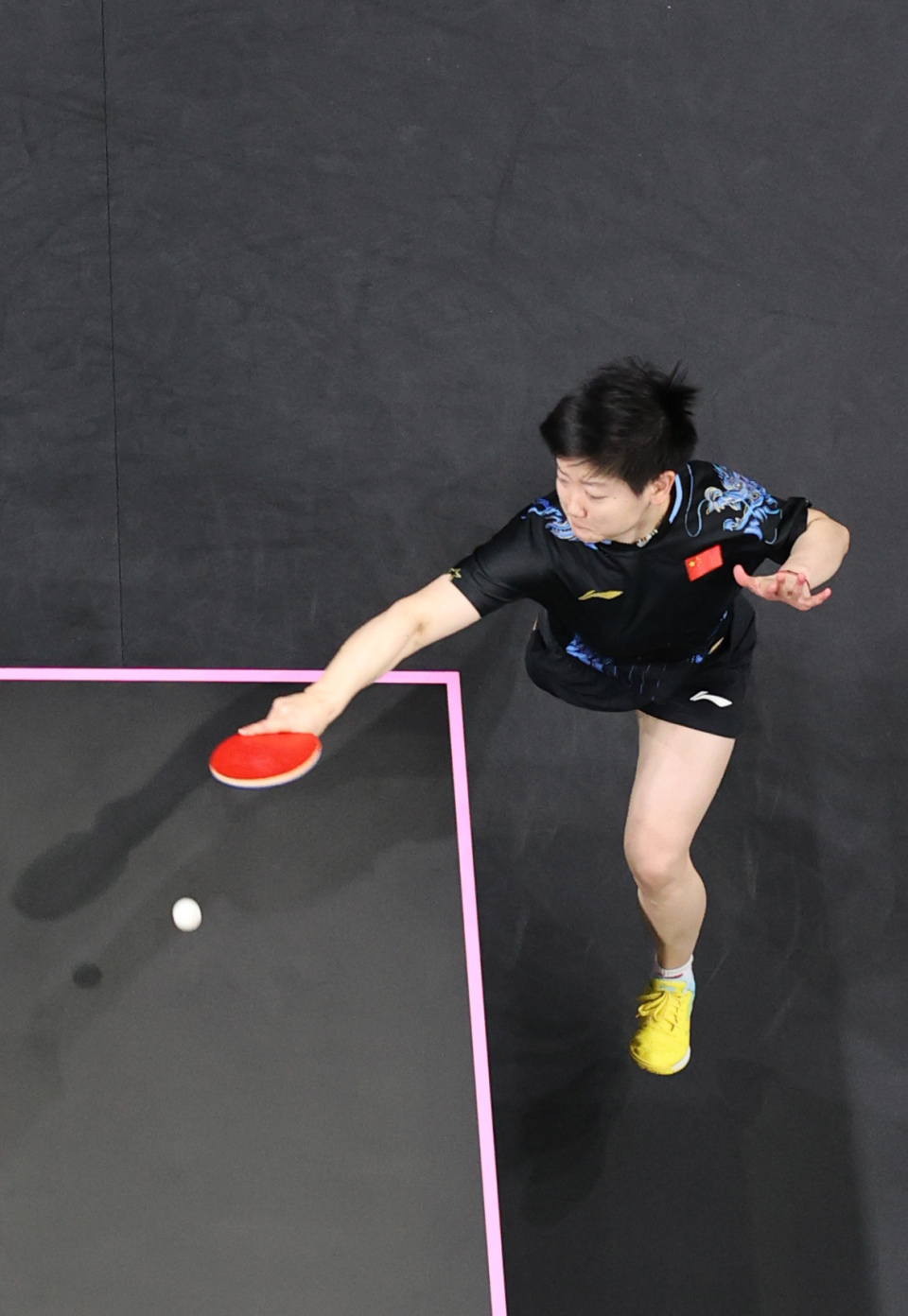 老詹支持者 老詹支持者