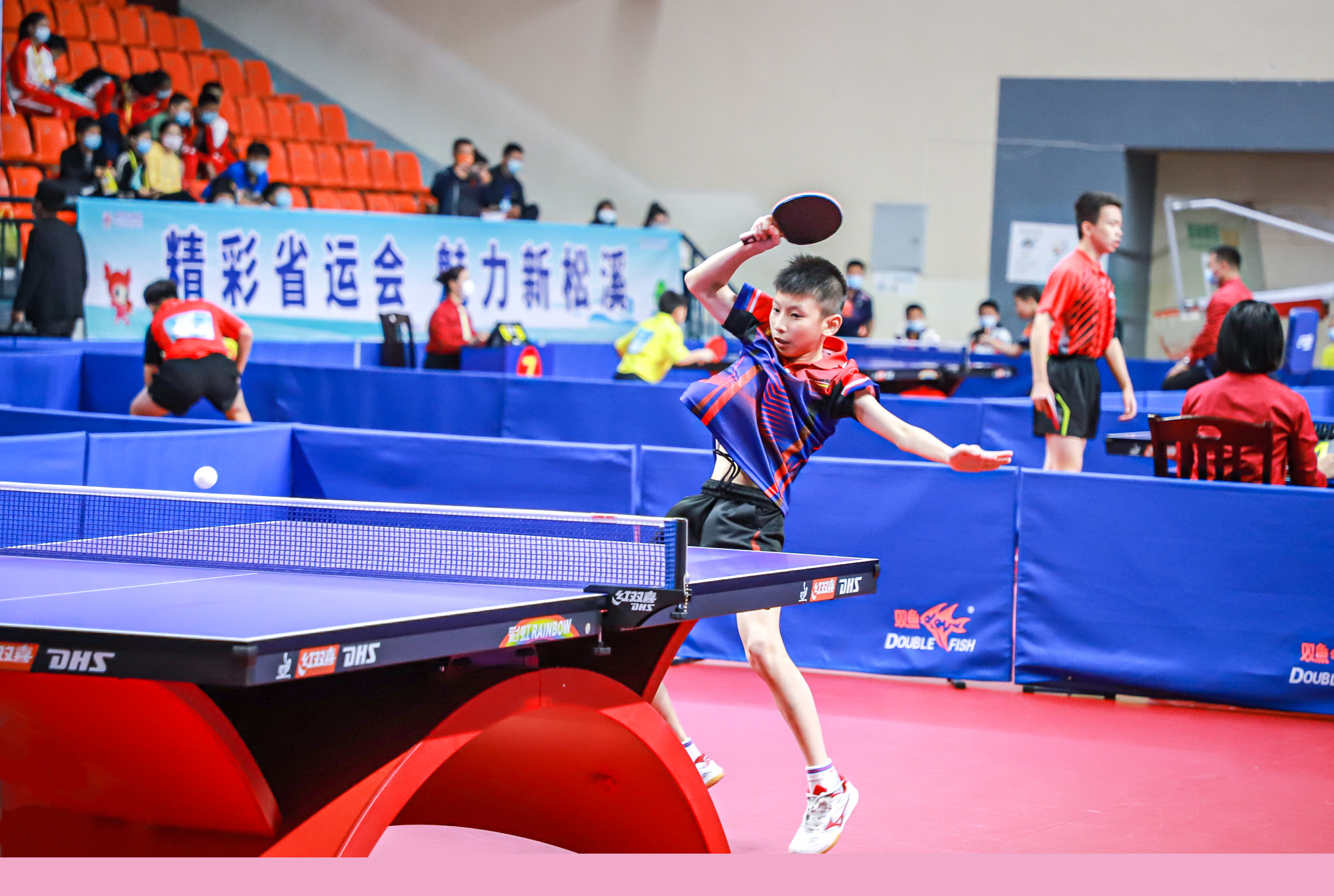 环境的磨砺 环境的磨砺