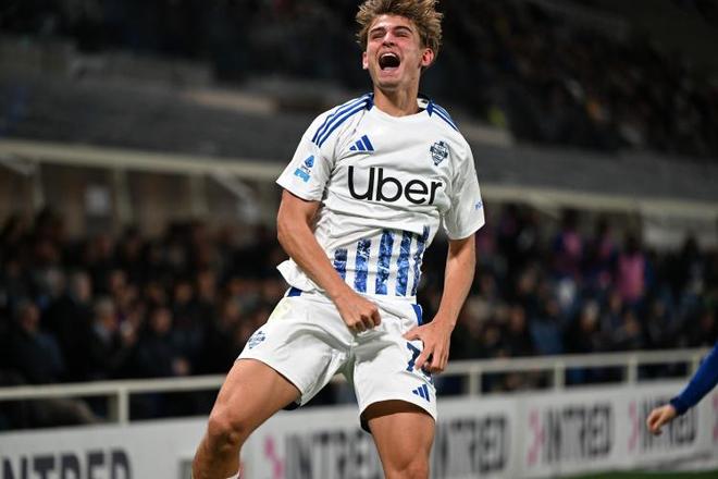 的观赏性和 的观赏性和