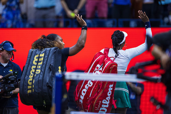 专家的加入 专家的加入