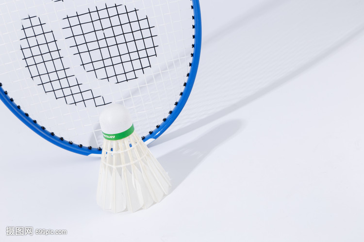 的辉煌成就 的辉煌成就